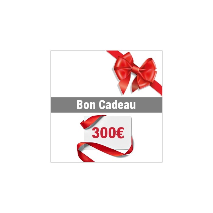 Carte cadeau / 300 euros